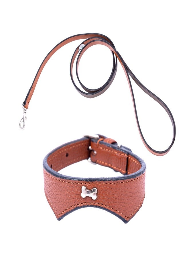 ADIL'S Adil’S Leather Cat Collar & Leash Set Combo - Stylish Single Bone Studded Design Collar, Genuine Leather, Adjustable Buckle & Secure 5ft Leash for Outdoor Activity (Cognac) - Image 1